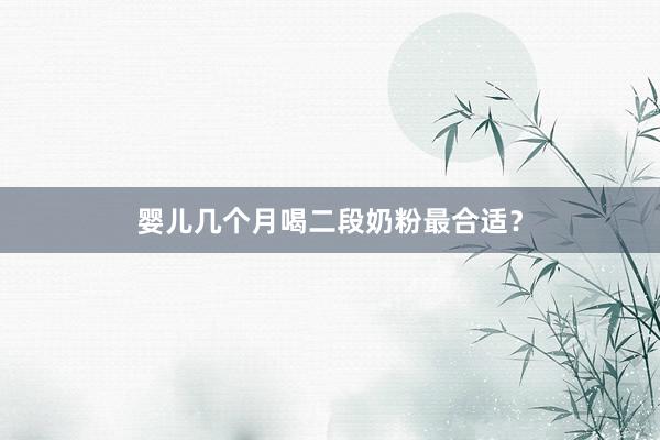 婴儿几个月喝二段奶粉最合适？
